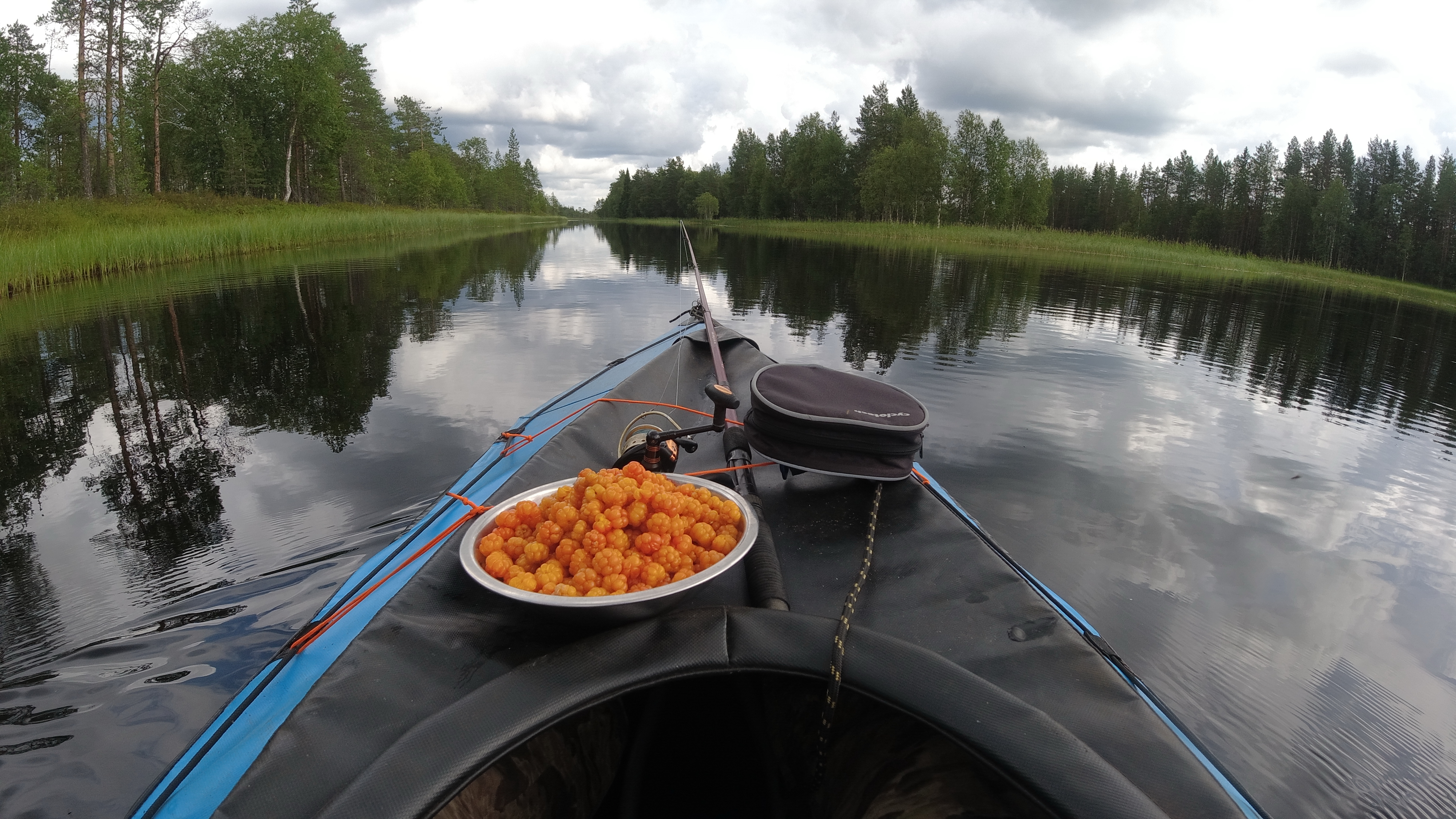 Морошка